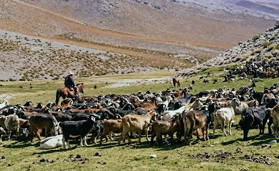 Veranadas del valle del Olivares y la cultura arriera en el ACMU